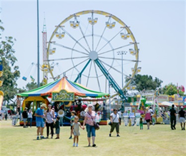Ferris Wheel at Pan Am Fiesta