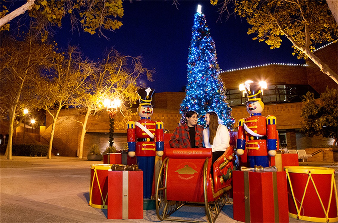 Couple seated in sleigh with decorated tree in background