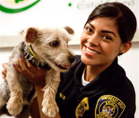 Employee with dog